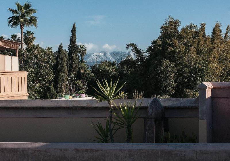 Riad Jaaneman image