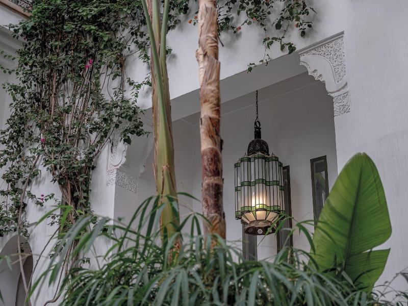 Riad Jaaneman image