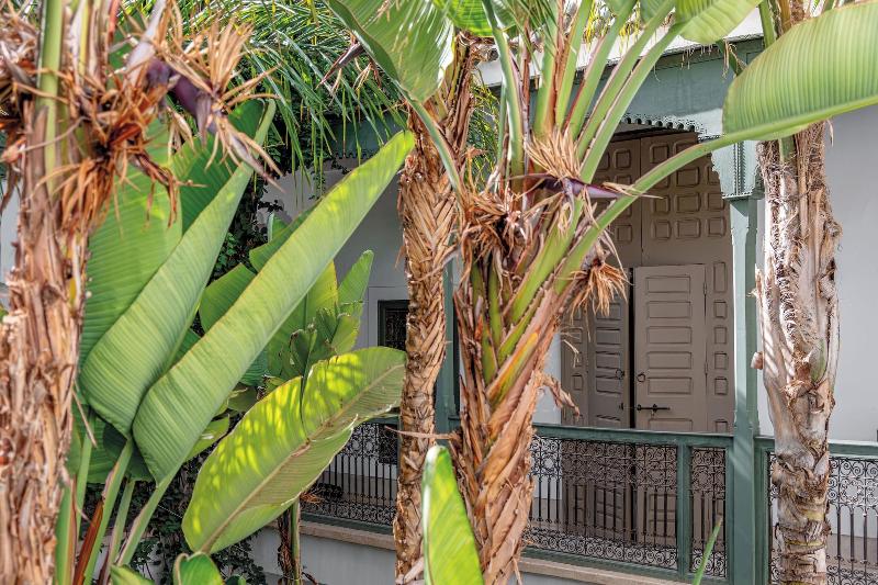 Riad Jaaneman image