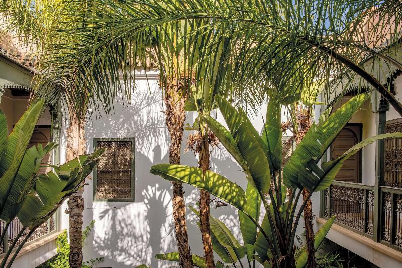 Riad Jaaneman image