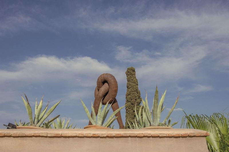 Riad Jaaneman image