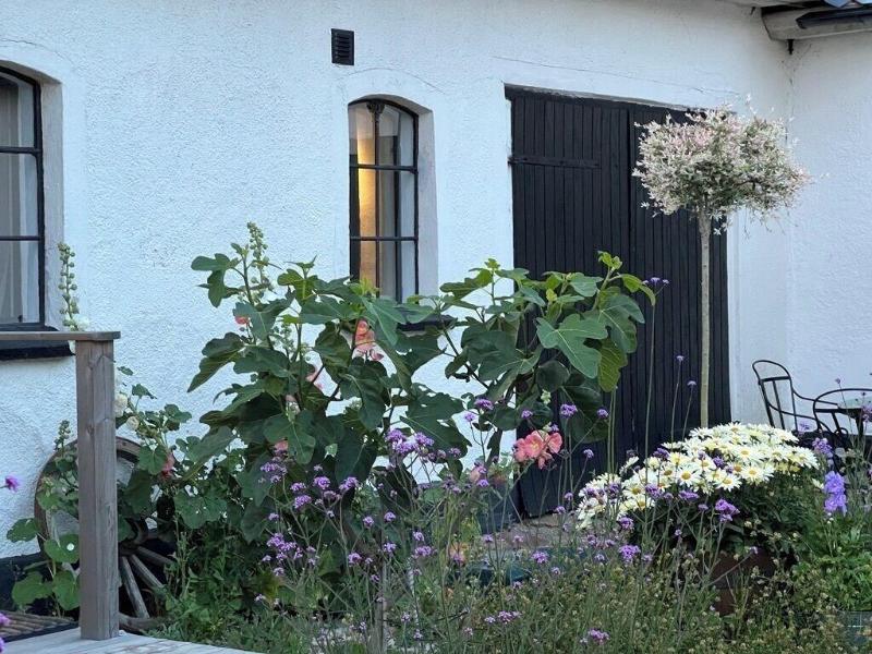 Backadal Gã¥rd B&b image