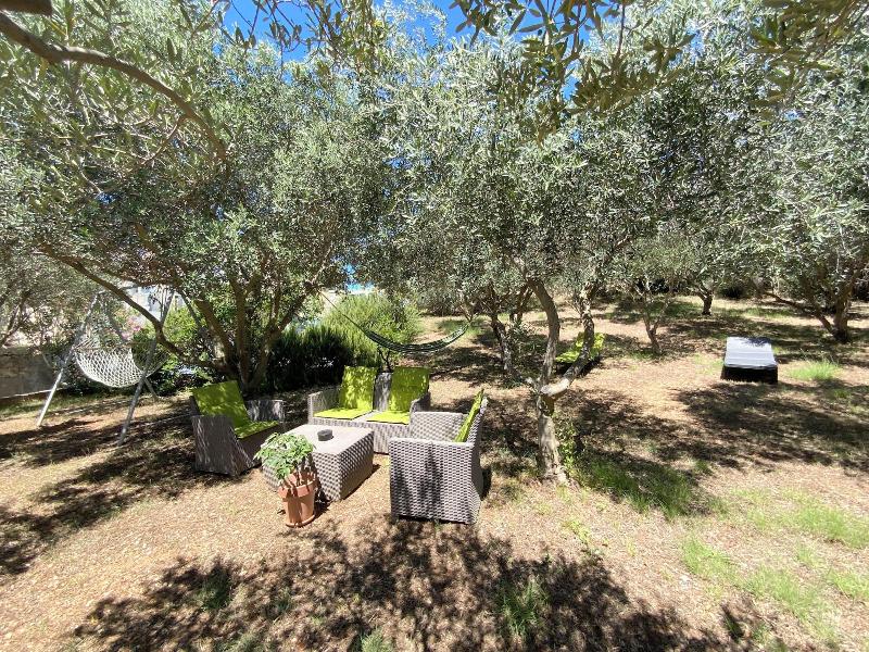 Olive House image