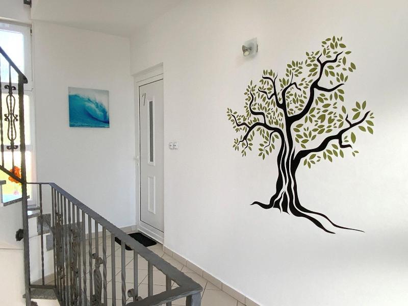 Olive House image
