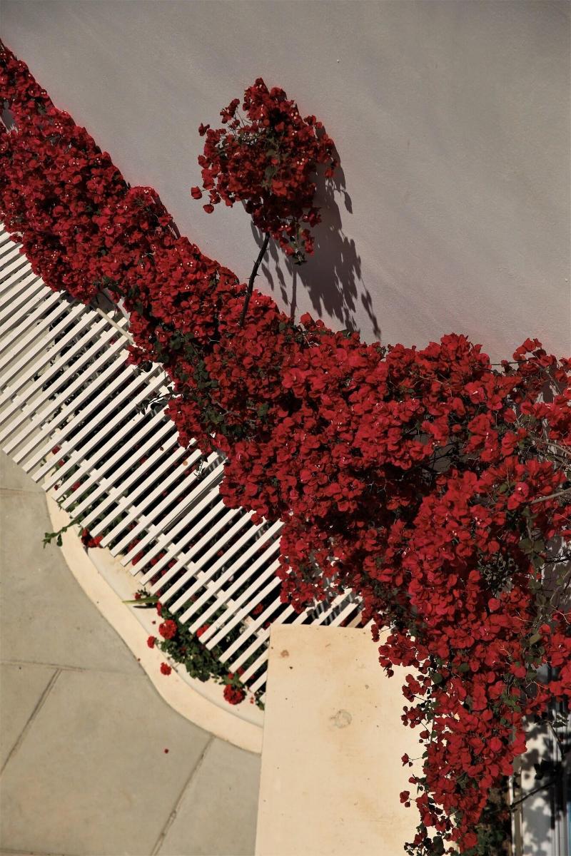Harmony Hotel image