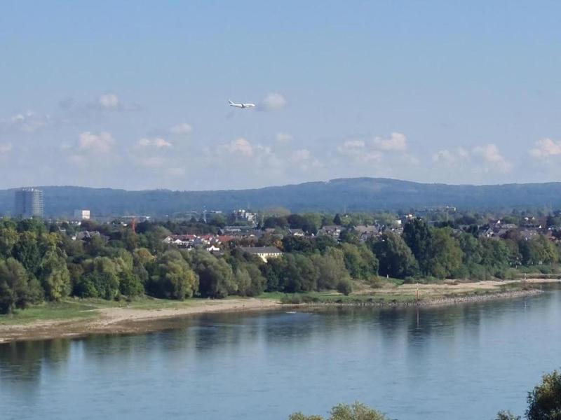 Rheinblick Apartments image
