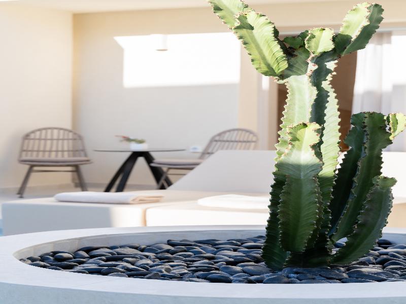 Heyday Luxury Suites image