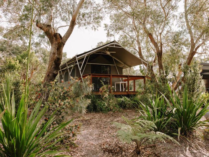 Port Stephens Koala Sanctuary