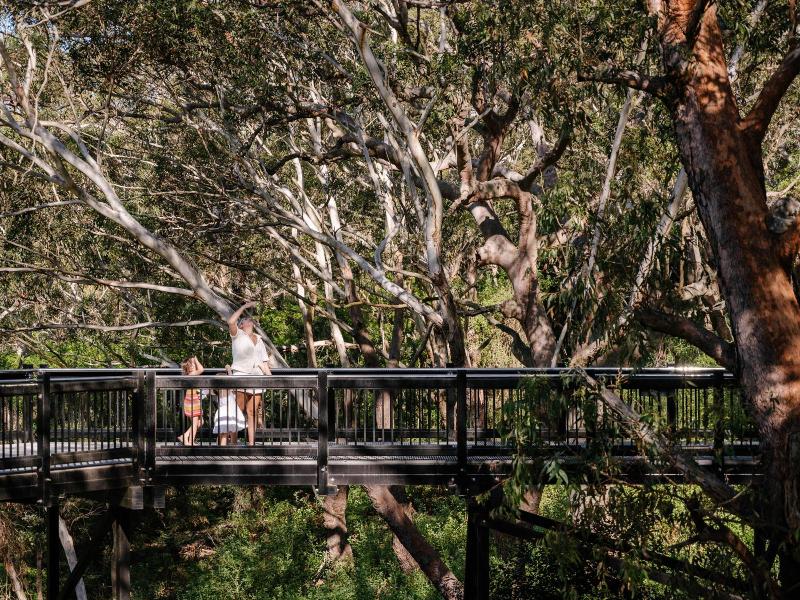 Port Stephens Koala Sanctuary