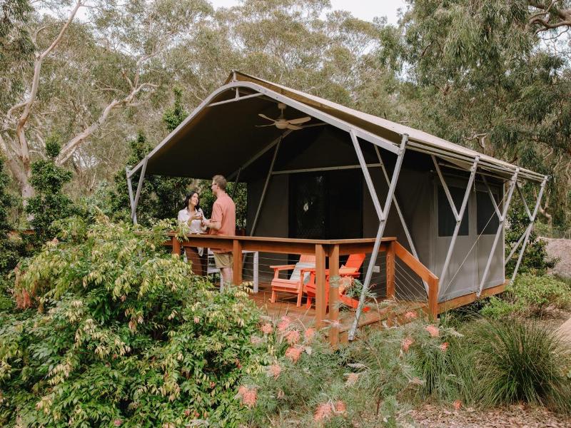 Port Stephens Koala Sanctuary