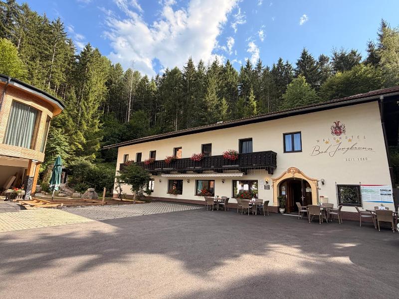 Waldhotel Bad Jungbrunn image