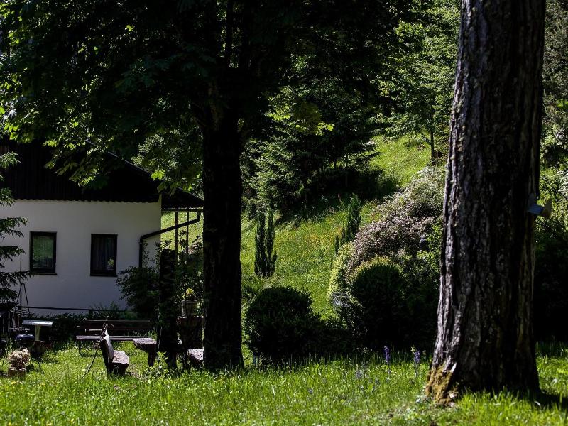 Waldhotel Bad Jungbrunn image