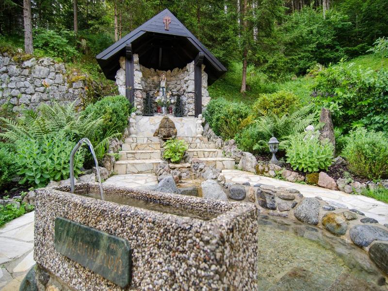 Waldhotel Bad Jungbrunn image