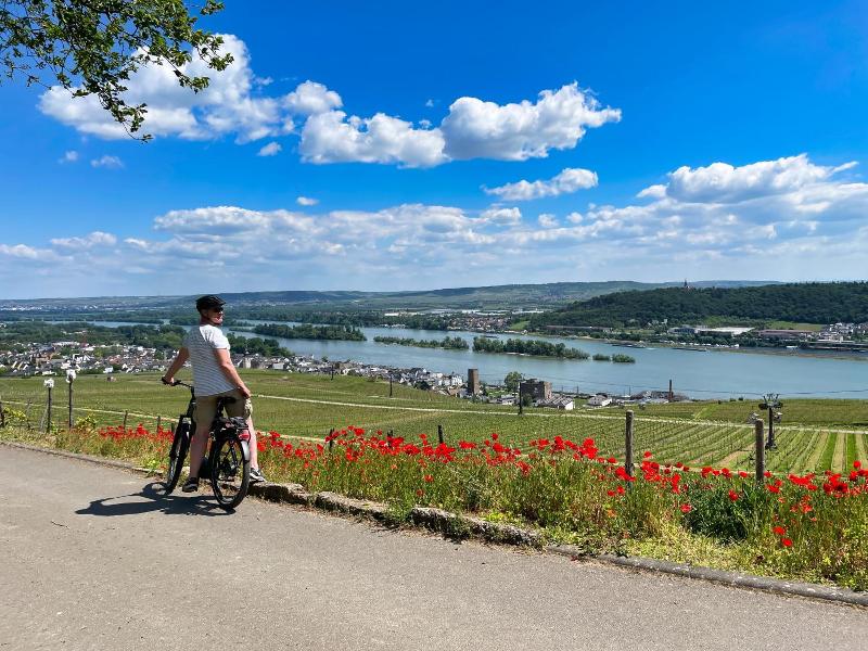 Gasthof Krancher image