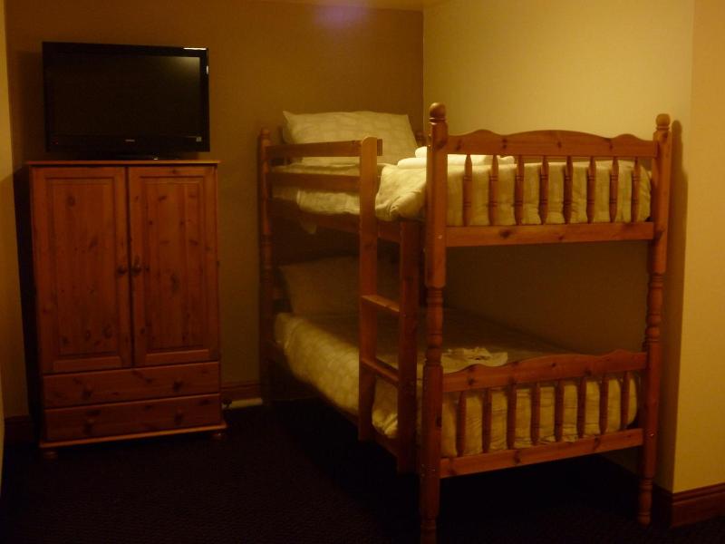 The Belted Will Inn image