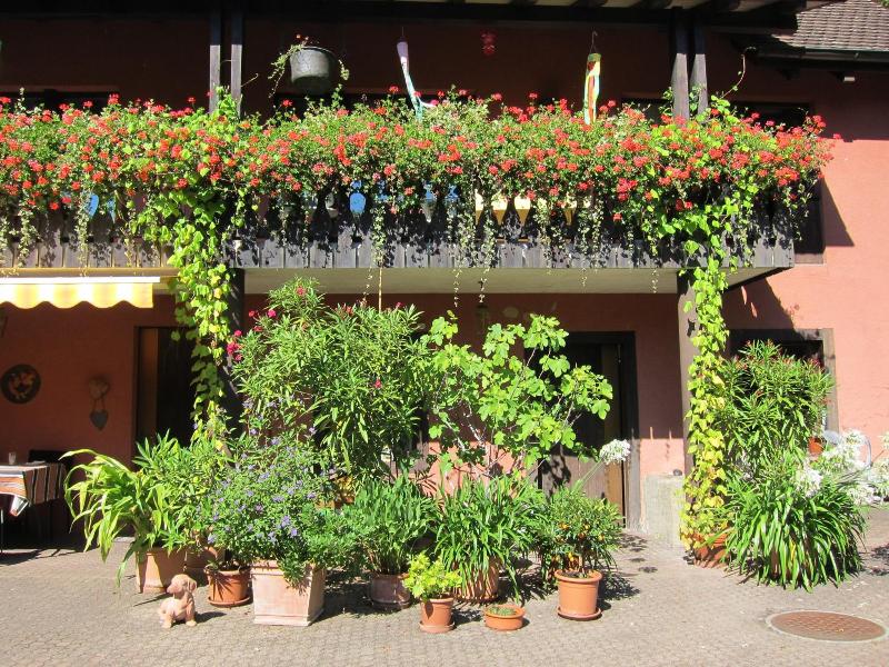 Landhotel Hirschen image