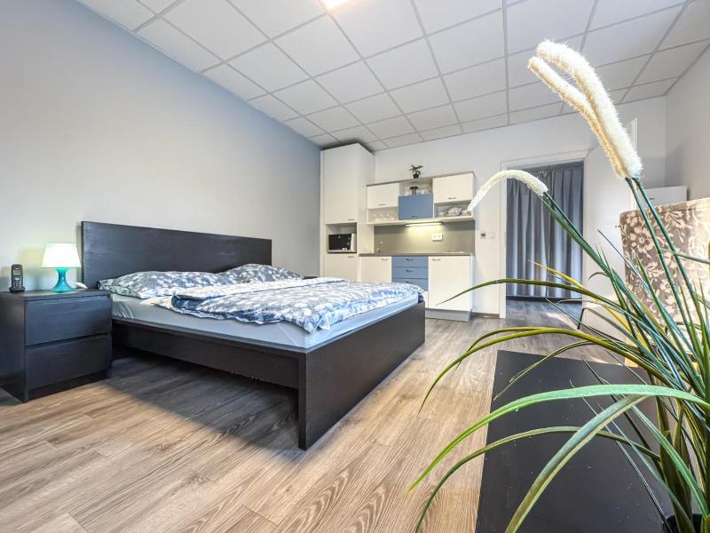 Aparthotel Dks image