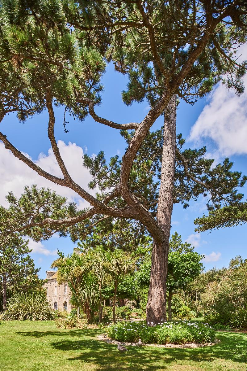 Les Maisons De Tatihou, The Originals Relais image