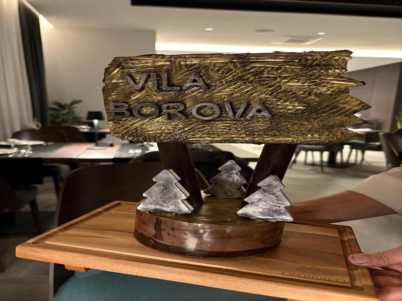 Vila Borova Wellness & Spa Resort image
