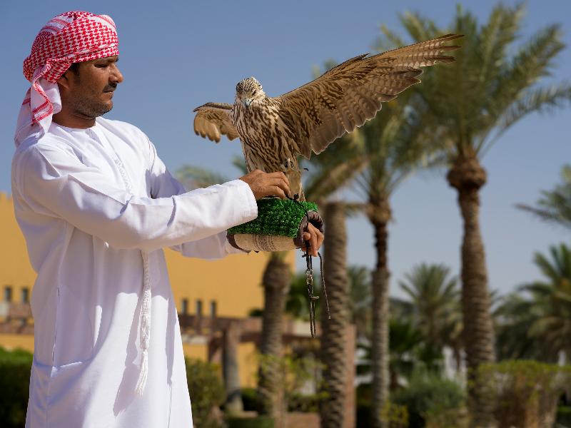 Vignette Collection ALDHAFRA RESORT image 3