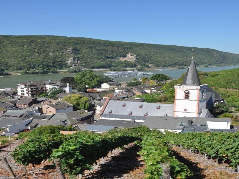 Hotel Gasthof Schuster Und Gv Stehaus image