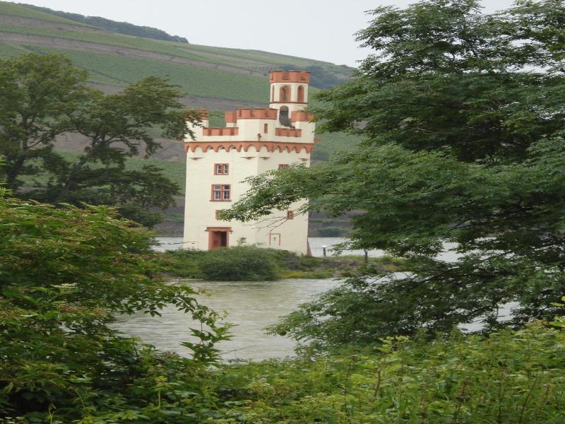 Hotel Gasthof Schuster Und Gv Stehaus image