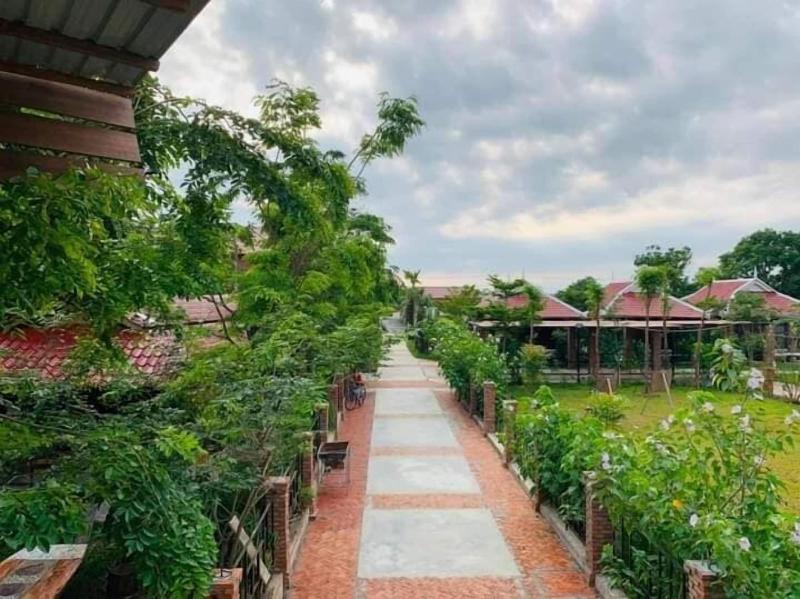 Bat Rice Resort image