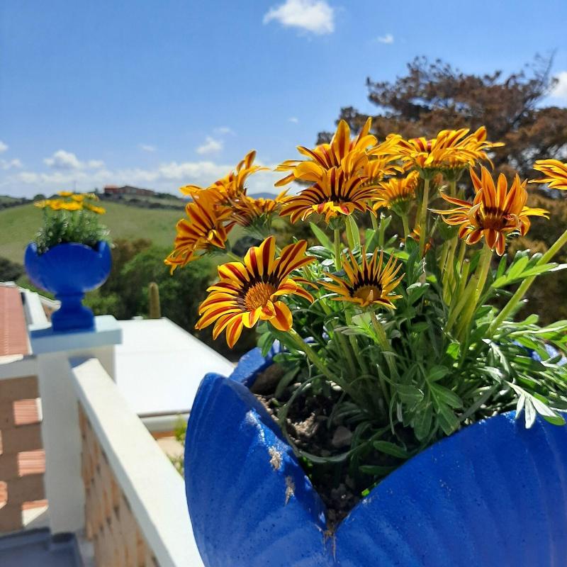 Lispusada B&b image