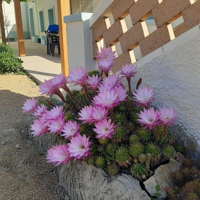 Lispusada B&b image