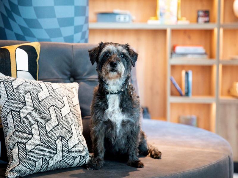 Moxy The Hague image