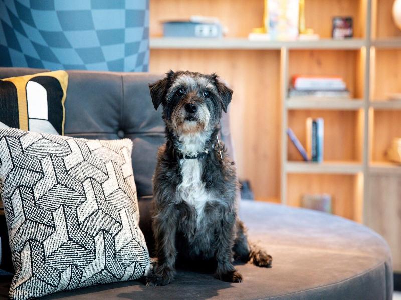 Moxy The Hague image