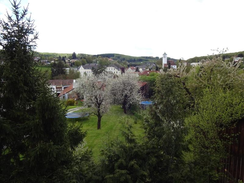 Hotel Rosner image