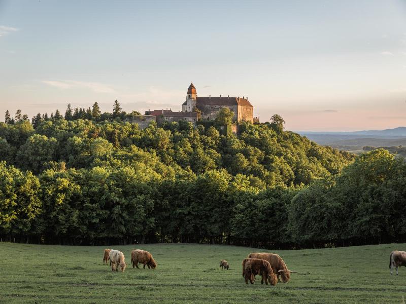 Burg Bernstein image