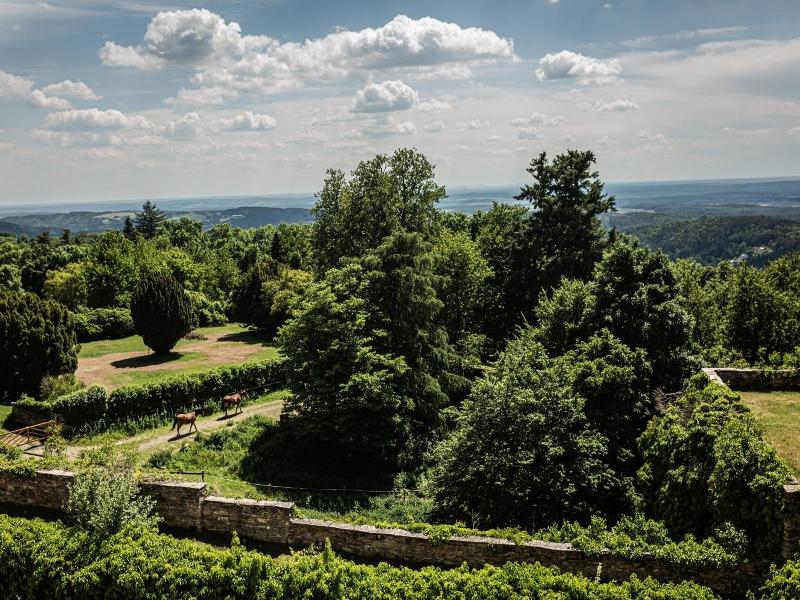 Burg Bernstein image
