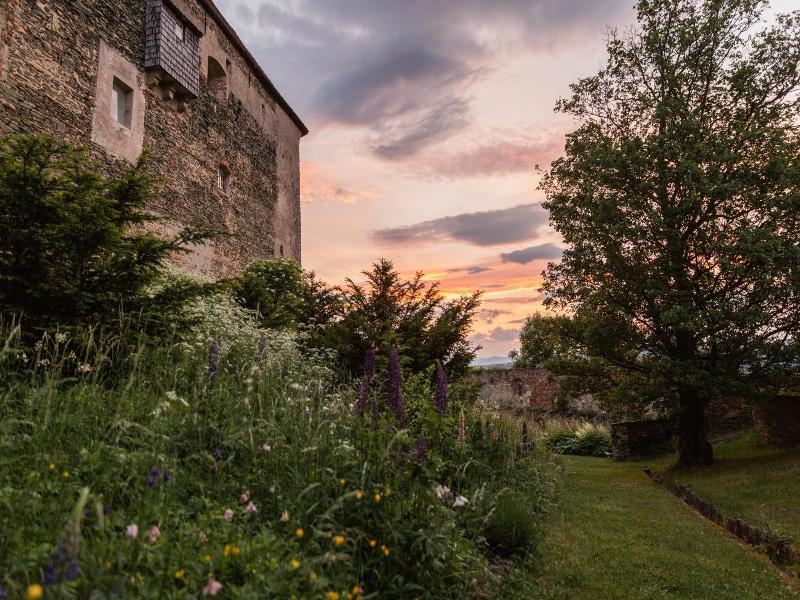 Burg Bernstein image