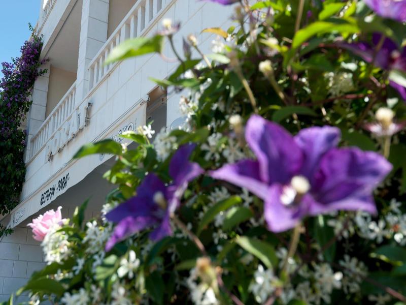 Hotel Porat image