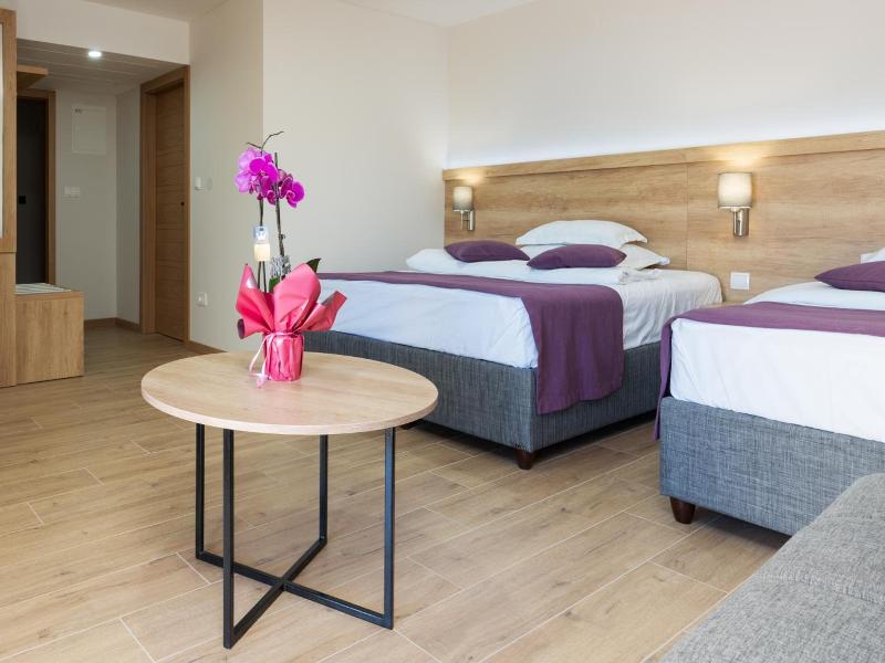 Hotel Porat image