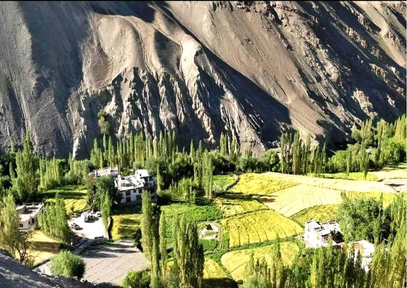 Tih Namra Village Hotel - Temisgam — general view