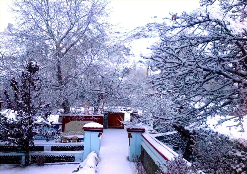 Tih Namra Village Hotel - Temisgam