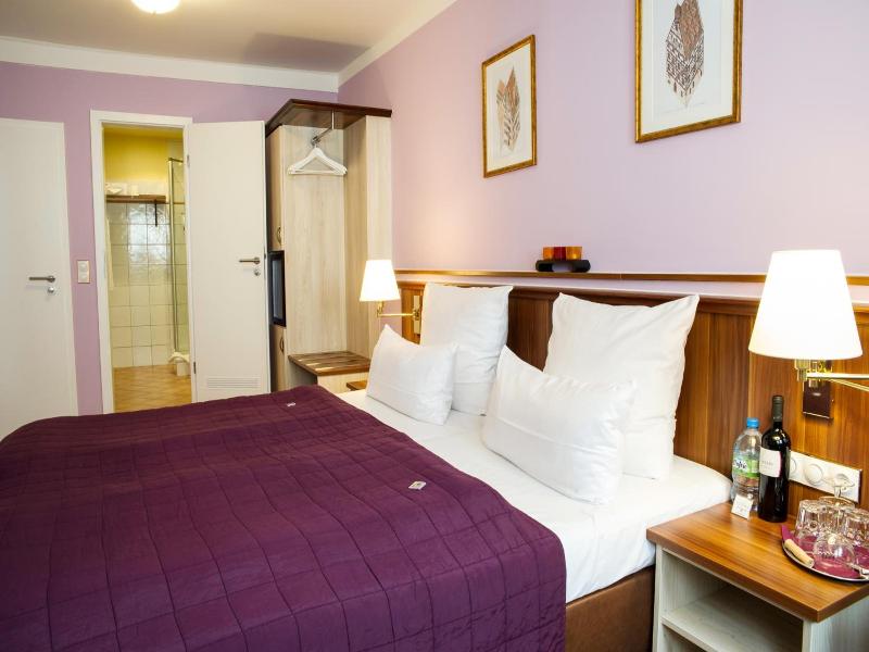 Hotel Elch image