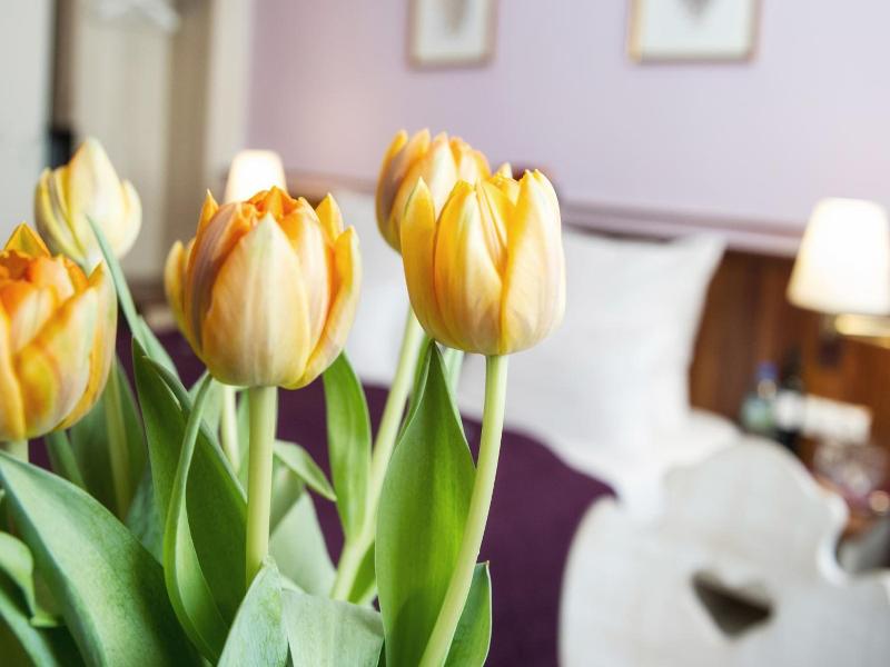 Hotel Elch image