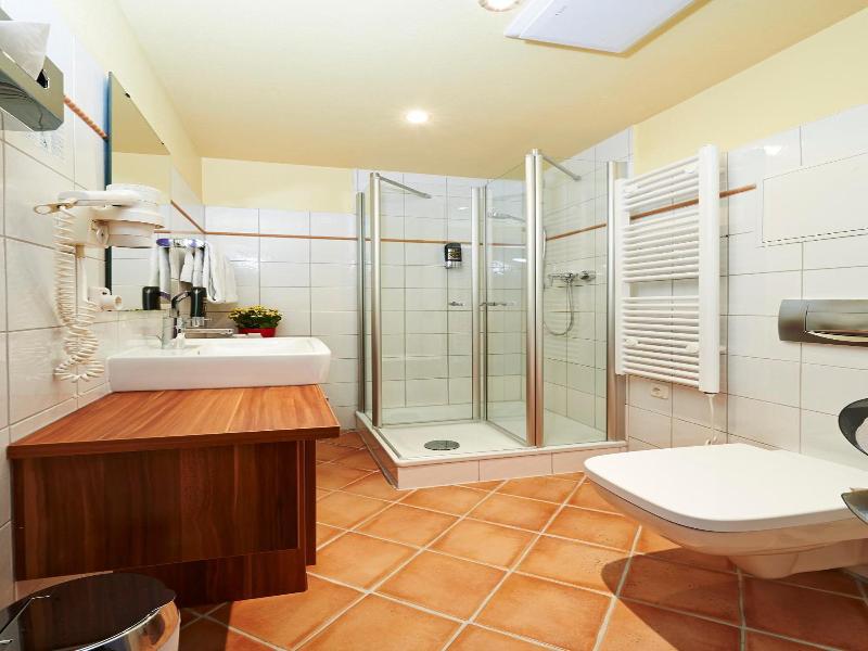 Hotel Elch image