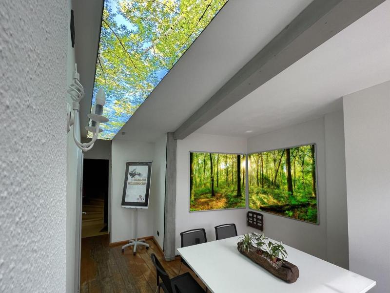 Hotel Elch image