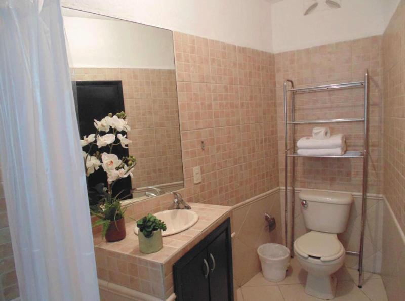 Casa Satya image