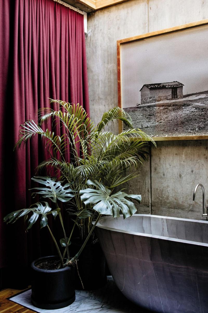 Flavia Hotel image