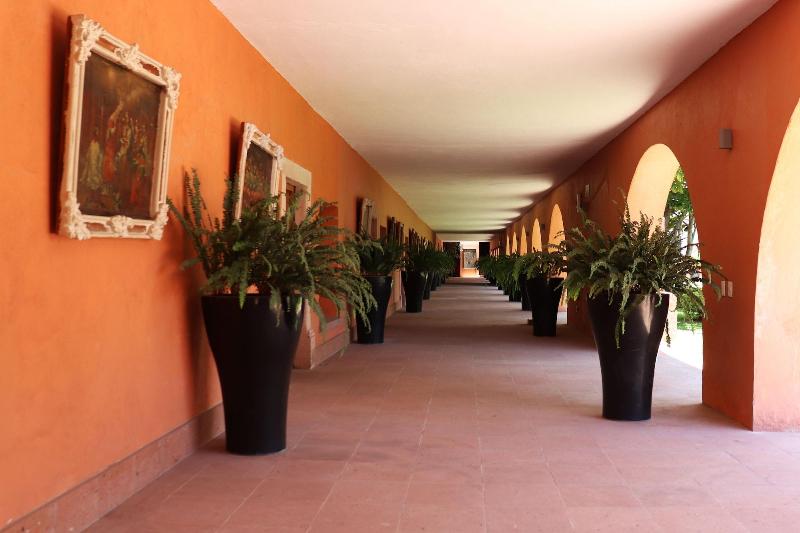 El Diezmo Hotel image 8