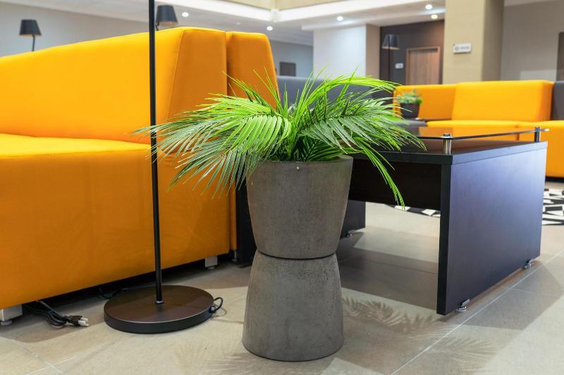 Th Hotel Vivienda image