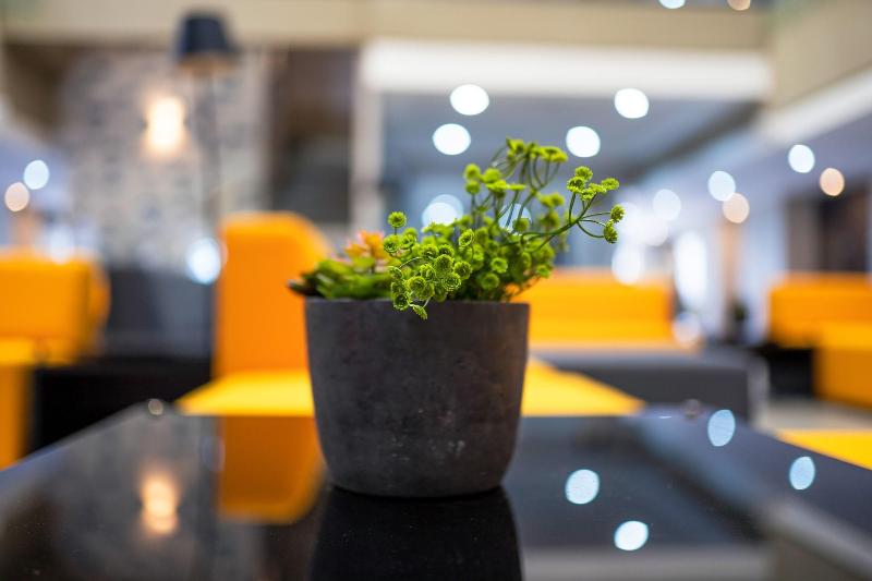 Th Hotel Vivienda image