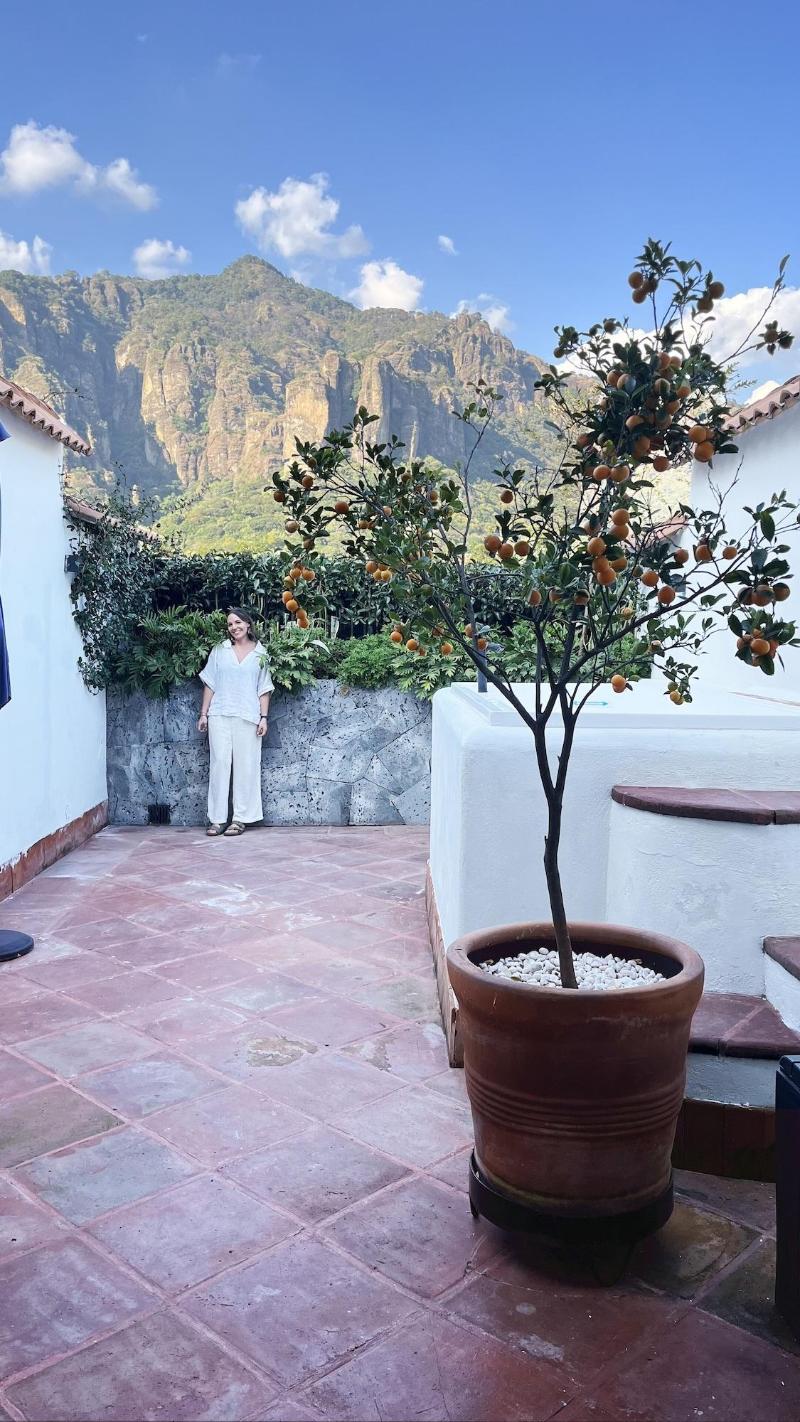 Hotel El Ciruelo image