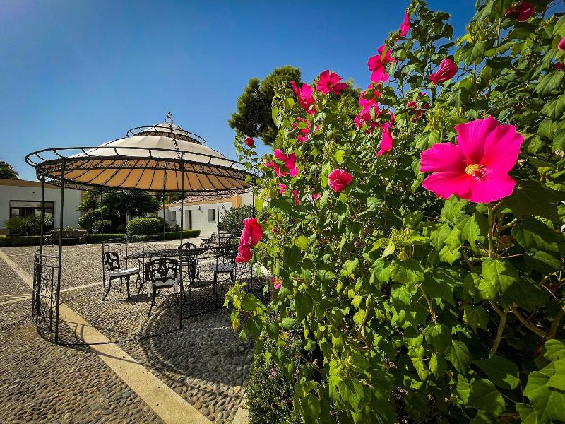 Villa Del Gattopardo image